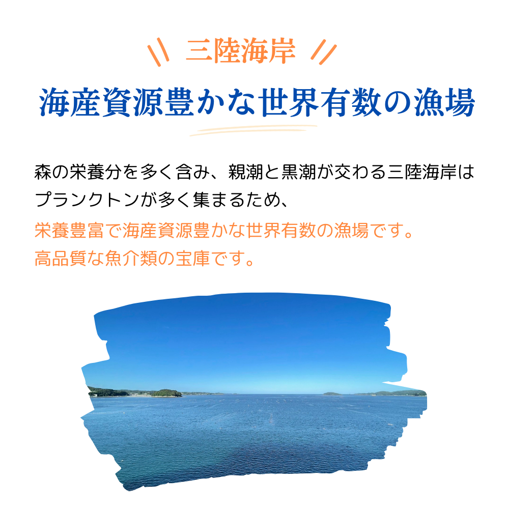 三陸海岸
海産資源豊かな世界有数の漁場
森の栄養分を多く含み、親潮と黒潮が交わる三陸海岸はプランクトンが多く集まるため、栄養豊富で海産資源豊かな世界有数の漁場です。高品質な魚介類の宝庫です。