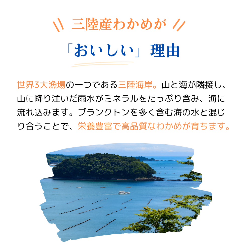 三陸産わかめがおいしい理由
世界3第漁場の一つである三陸海岸。山と海が隣接し、山に降り注いだ雨水がミネラルをたっぷりと含み、海に流れ込みます。プランクトンを多く含む海の水と交じり合うことで栄養豊富で高品質なわかめが育ちます。