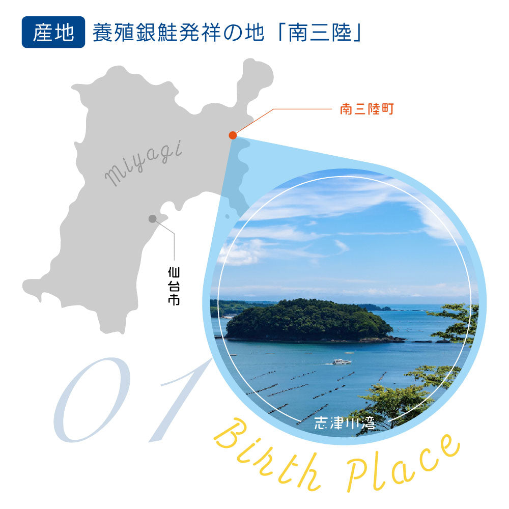養殖銀鮭発祥の地「南三陸」