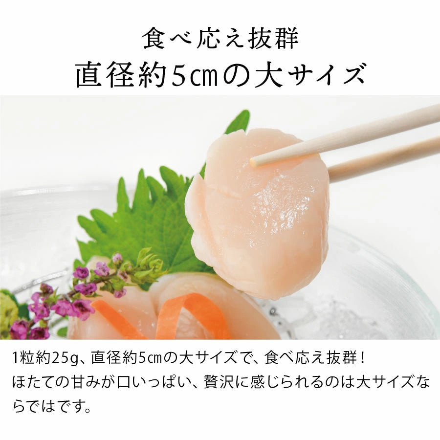 食べ応え抜群!直径約5cm、1粒約25gの大粒ほたて。甘みたっぷりの北海道オホーツク海産ほたてを贅沢に楽しめる大サイズ。刺身やバター焼き、グリルなど、どんな料理でも存在感抜群の特大ほたて貝柱。