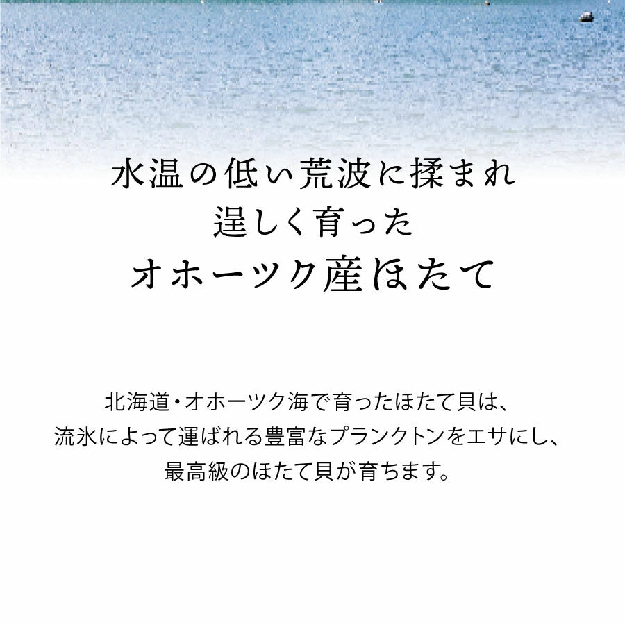北海道オホーツク海の冷たい荒波に育まれた高級ほたて。栄養豊富なプランクトンをたっぷり含む海域で育ったオホーツク産ほたては、甘みが強く肉厚でプリプリの食感が特徴。刺身やバター焼き、フライなど幅広い料理に最適な新鮮な海の幸。