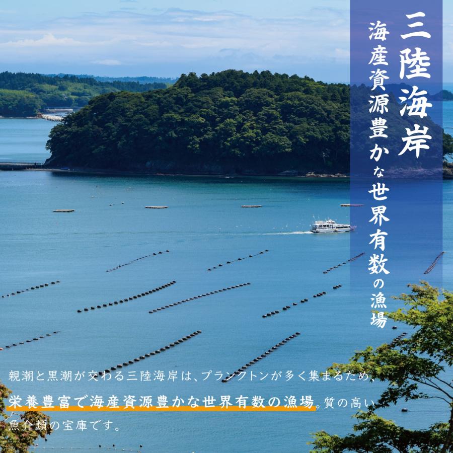 「三陸海岸」
海産資源豊かな世界有数の漁場。親潮と黒潮が交わる三陸海岸は、豊富なプランクトンが集まる栄養豊富な海域。高品質な魚介類が育つ、日本屈指の漁場として知られる。新鮮な三陸の海の幸を存分に味わえる、恵まれた環境の海。