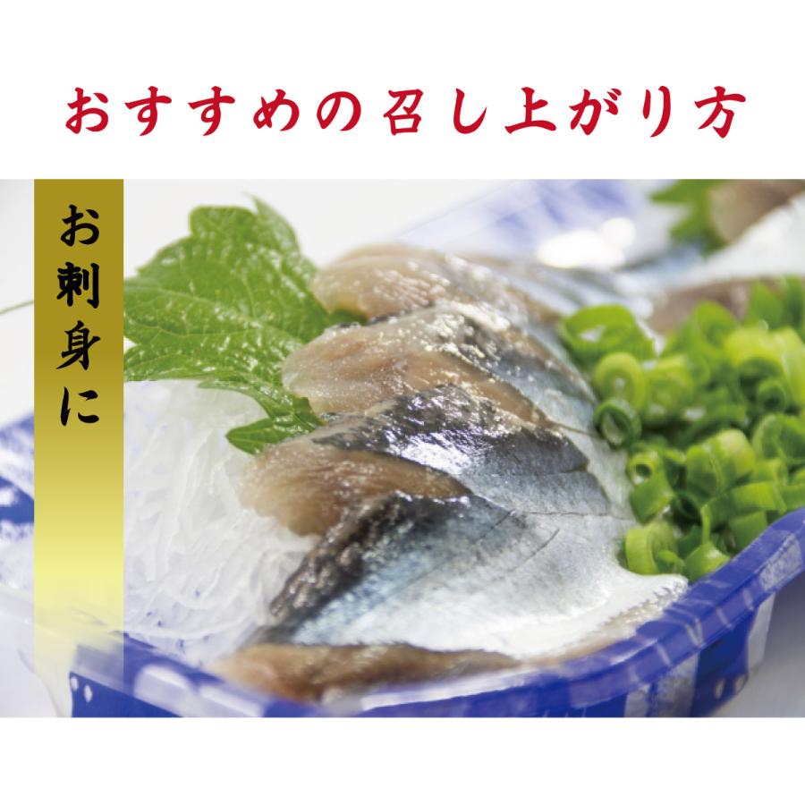 おすすめのお召し上がり方
あぶりさんまのお刺身。特製甘酢にじっくり漬け込み、香ばしく炙ったあぶりさんまを、刺身感覚で楽しめる贅沢な一品。ほどよく脂が乗った旬のさんまの旨みと、炙りの香ばしさが絶妙に調和。お好みで生姜やネギ、大葉、わさび醤油を添えると、さらに美味しくお召し上がりいただけます。
