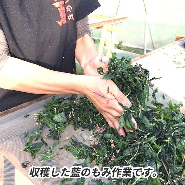 収穫した藍のもみ作業です。