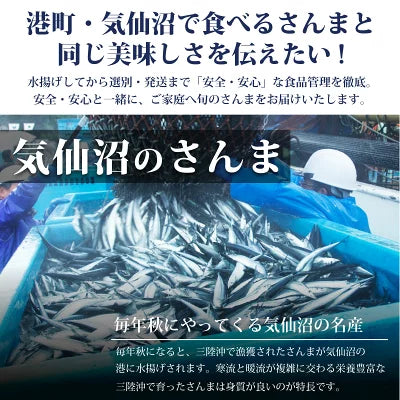 さんま4キロ - ホテル観洋セレクトショップ