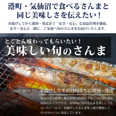 さんま4キロ - ホテル観洋セレクトショップ
