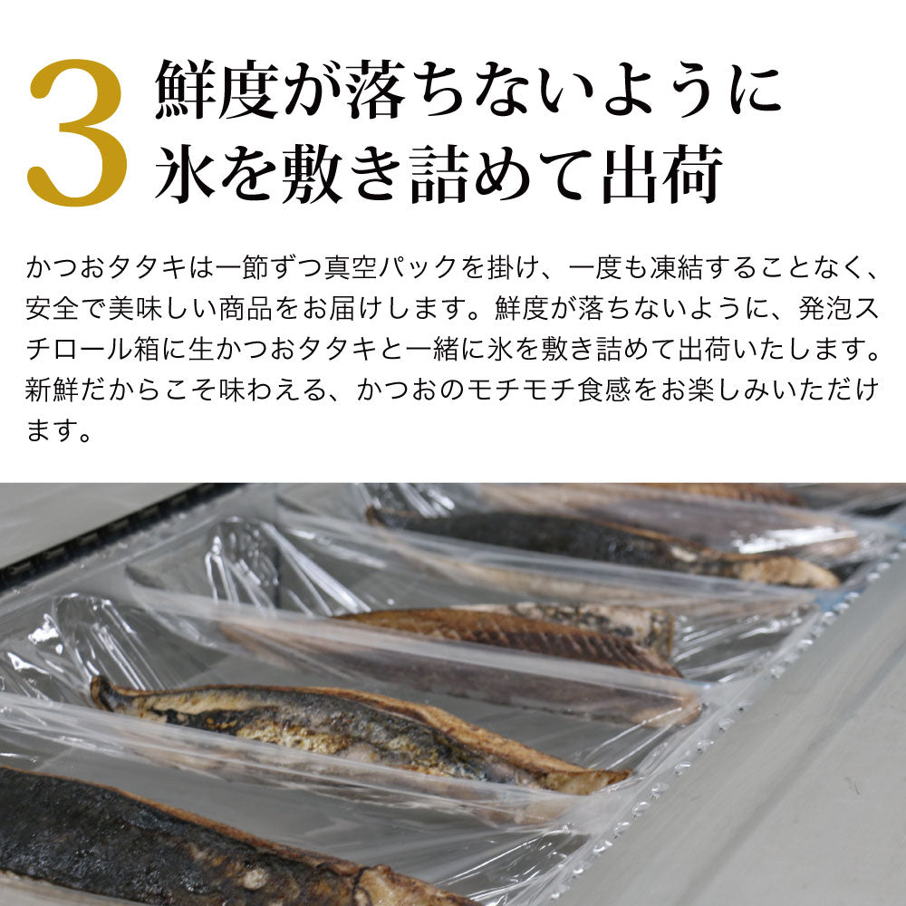 【予約販売！6月中旬より順次発送】朝どれ鮮かつおのタタキ600g　 - ホテル観洋セレクトショップ
