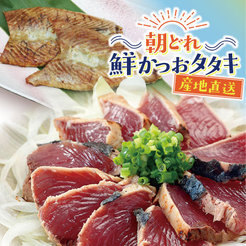 【予約販売！6月中旬より順次発送】　朝どれ鮮かつおタタキとかつおハラス　かつおづくしセット - ホテル観洋セレクトショップ