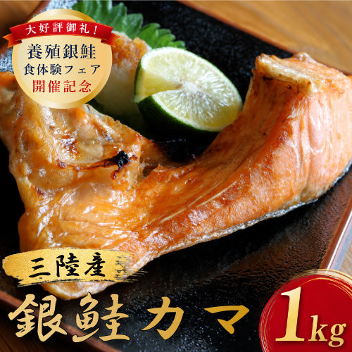 銀鮭のカマ 約1kg｜新鮮冷凍 直販価格