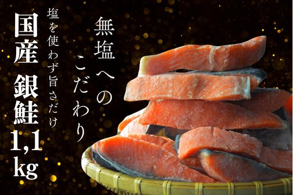銀鮭の切り身 約1.1kg｜新鮮冷凍 直販価格 - ホテル観洋セレクトショップ