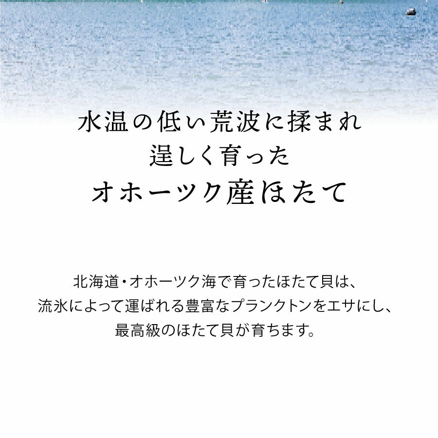 【直販価格】お刺身ほたて 1パック