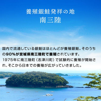 宮城県産銀鮭 伊達のぎん 半身 フィーレ