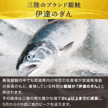 宮城県産銀鮭 伊達のぎん 半身 フィーレ