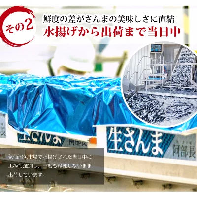 さんま4キロ - ホテル観洋セレクトショップ