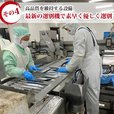 さんま4キロ - ホテル観洋セレクトショップ