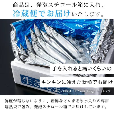 さんま4キロ - ホテル観洋セレクトショップ